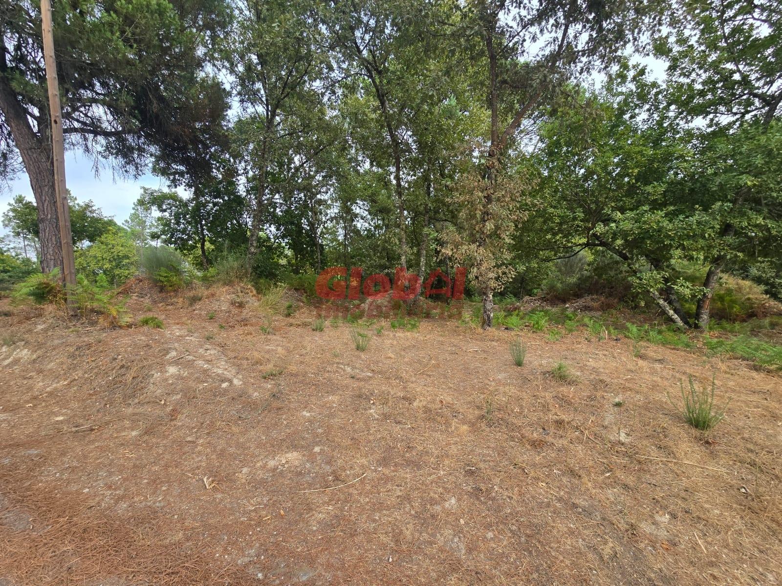 Terreno  Venda em Santos Evos,Viseu