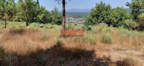 Terreno Rústico  Venda em Faíl e Vila Chã de Sá,Viseu