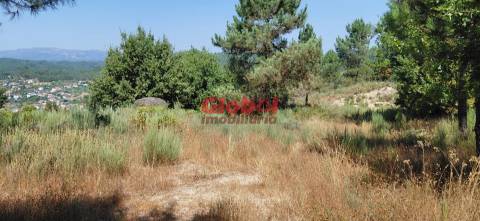 Terreno Rústico  Venda em Faíl e Vila Chã de Sá,Viseu