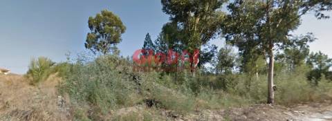 Terreno Rústico  Venda em Rio de Loba,Viseu