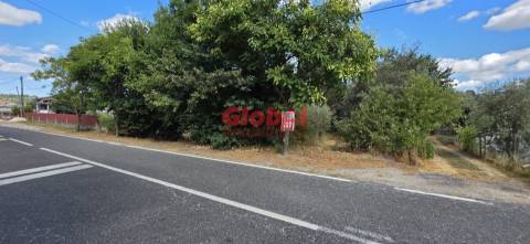 Terreno  Venda em Faíl e Vila Chã de Sá,Viseu