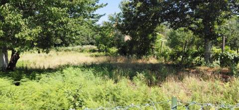 Terreno  Venda em Campo,Viseu