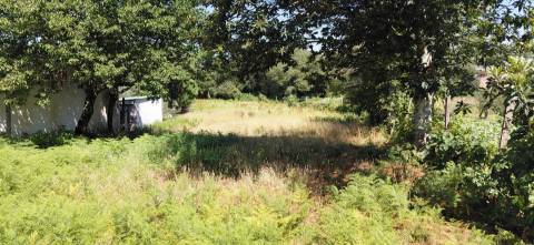 Terreno  Venda em Campo,Viseu