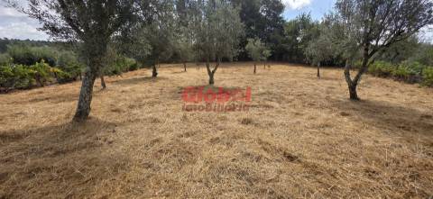 Terreno Para Construção, Viseu, Viseu, Santos Evos