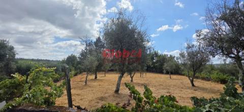 Terreno Para Construção, Viseu, Viseu, Santos Evos