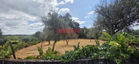 Terreno Para Construção, Viseu, Viseu, Santos Evos