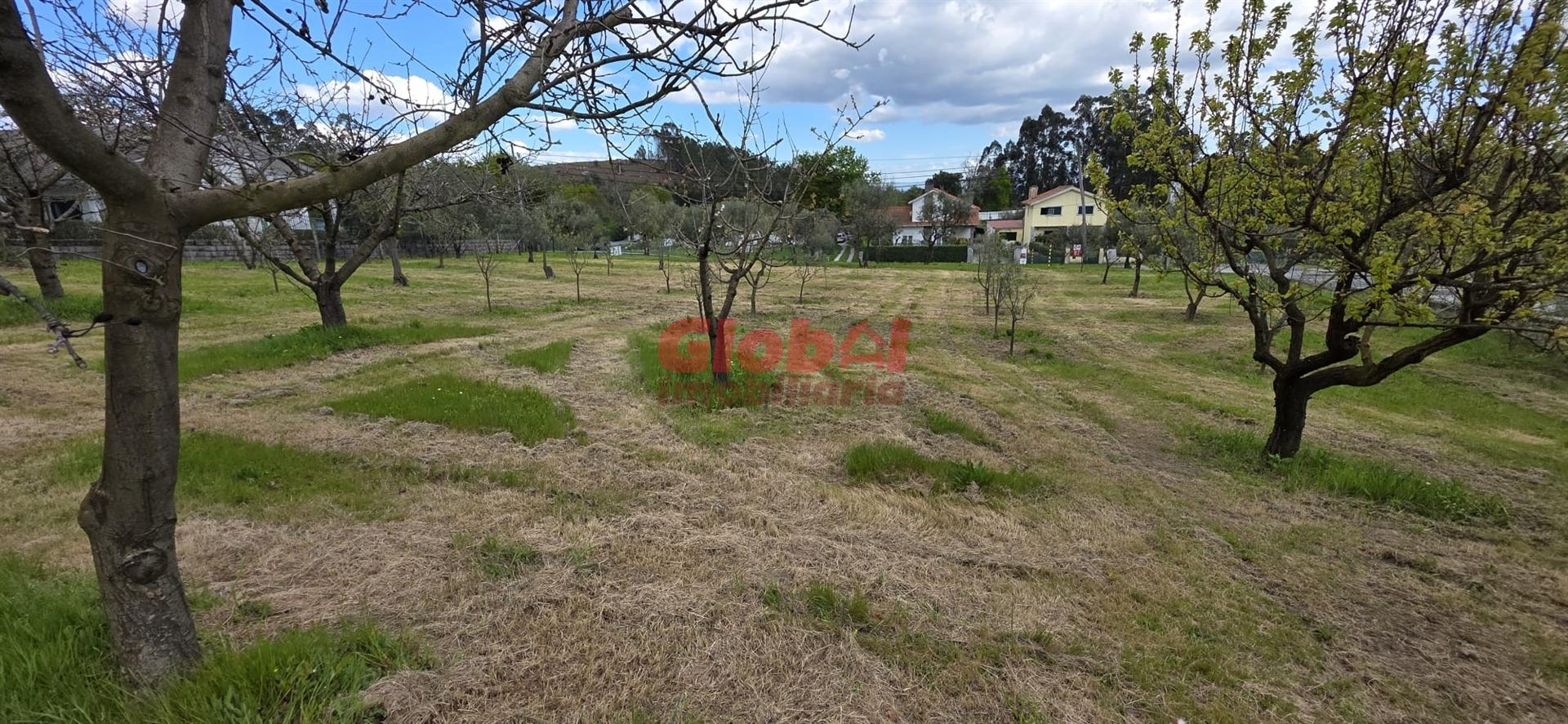 Terreno Para Construção  Venda em Cavernães,Viseu