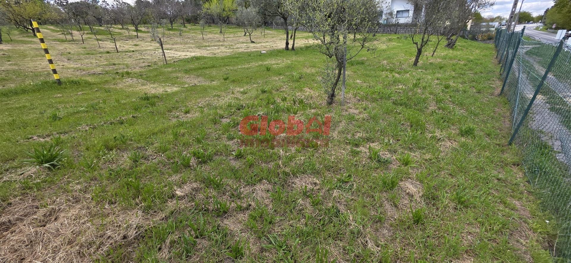 Terreno Para Construção  Venda em Cavernães,Viseu