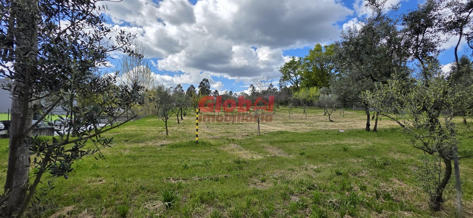 Terreno Para Construção  Venda em Cavernães,Viseu