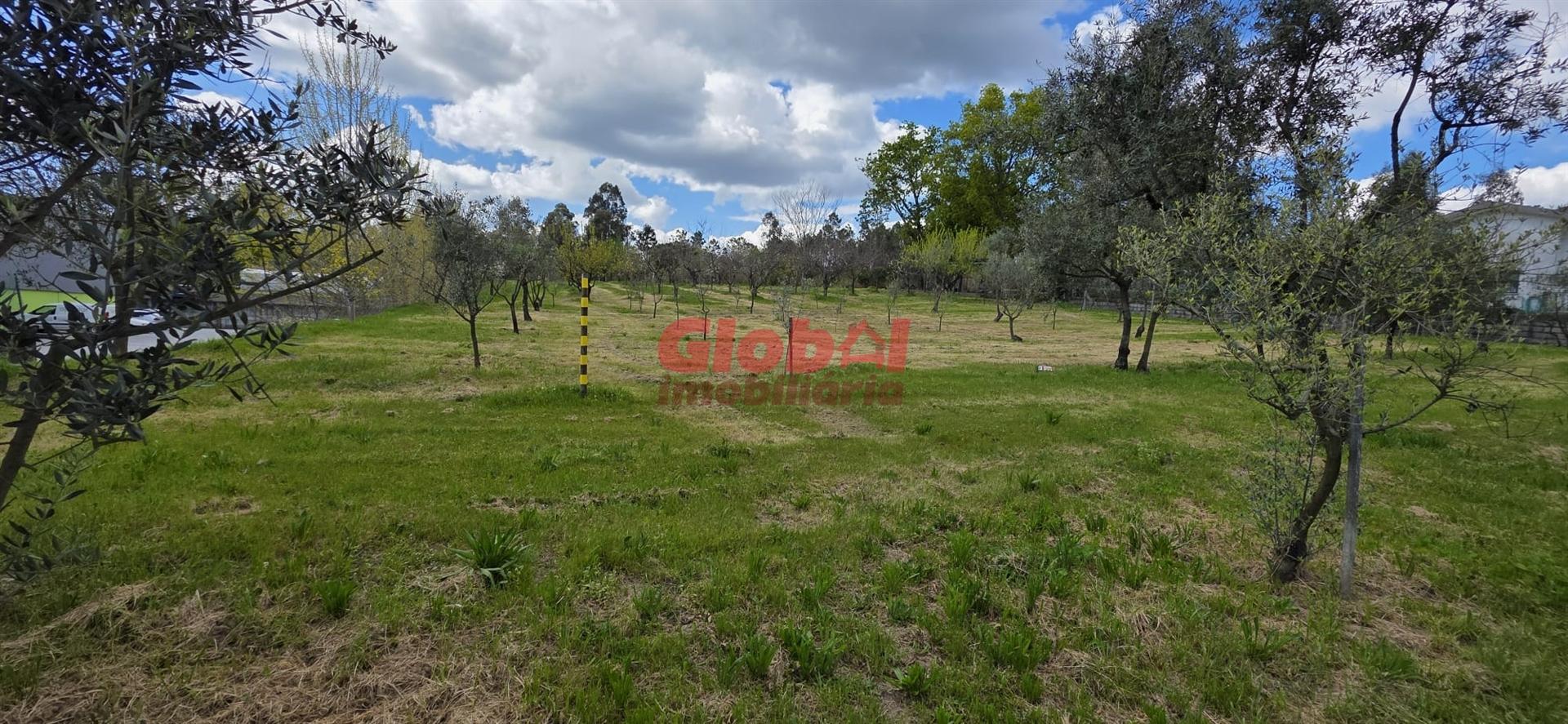 Terreno Para Construção  Venda em Cavernães,Viseu