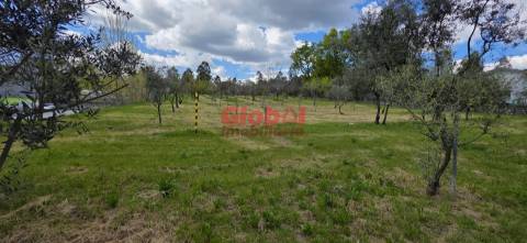 Terreno Para Construção  Venda em Cavernães,Viseu
