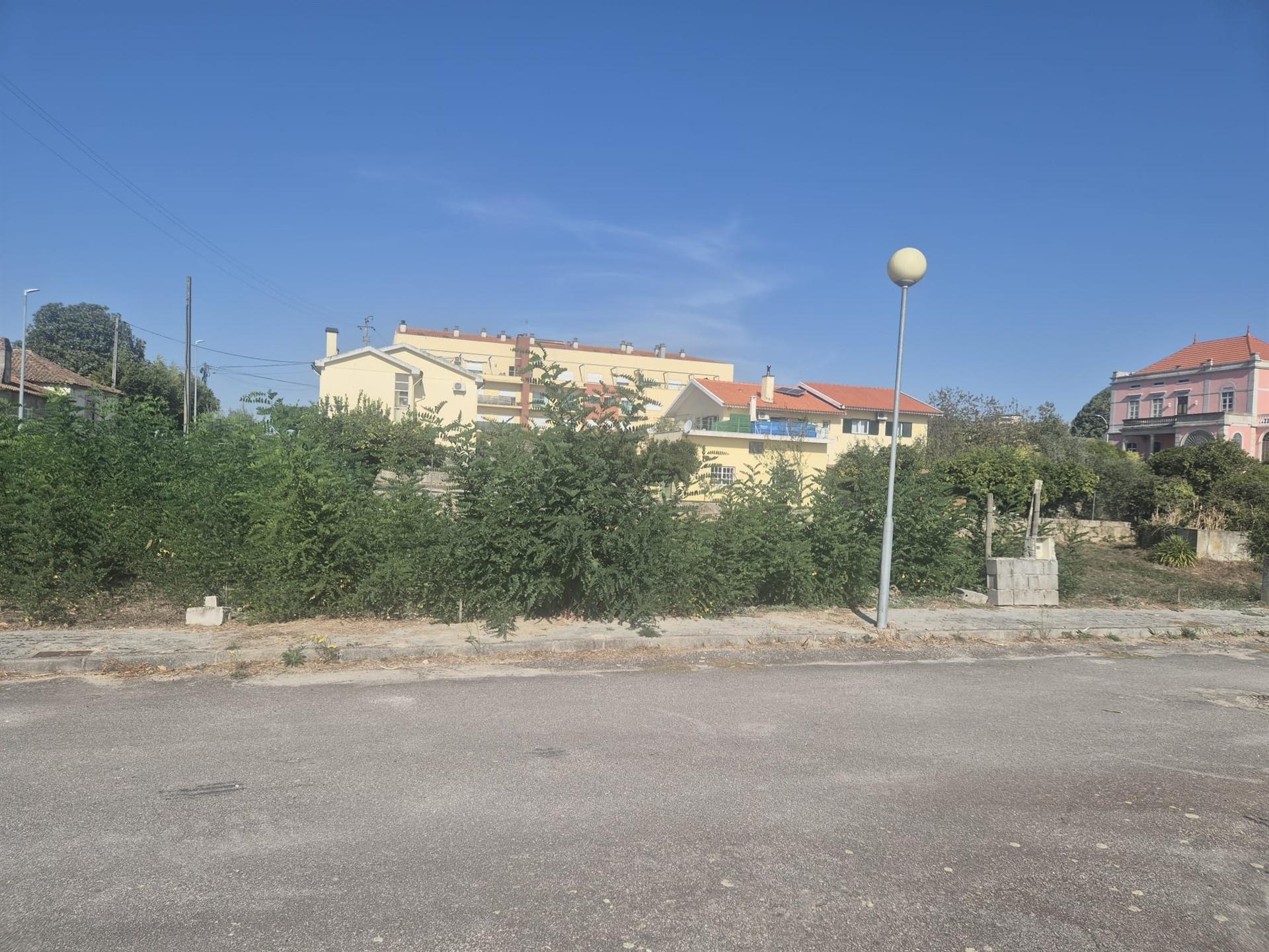 Terreno  Venda em Nelas,Nelas