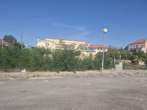 Terreno  Venda em Nelas,Nelas