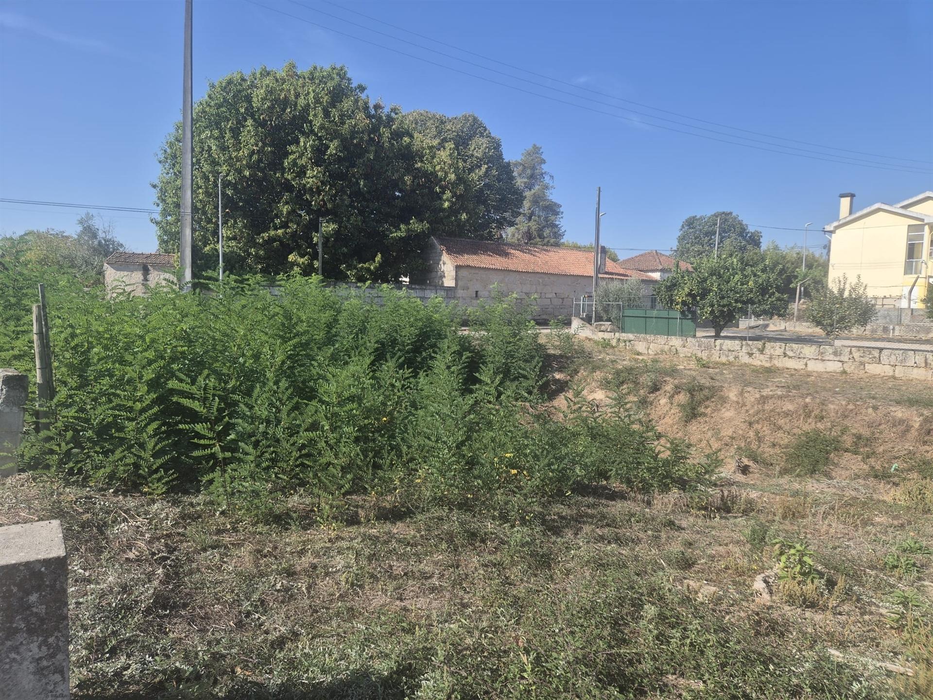 Terreno  Venda em Nelas,Nelas