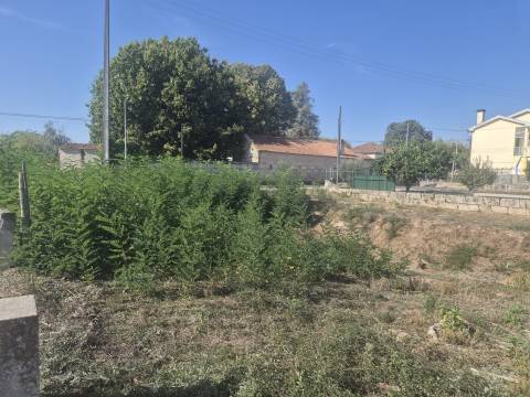 Terreno  Venda em Nelas,Nelas