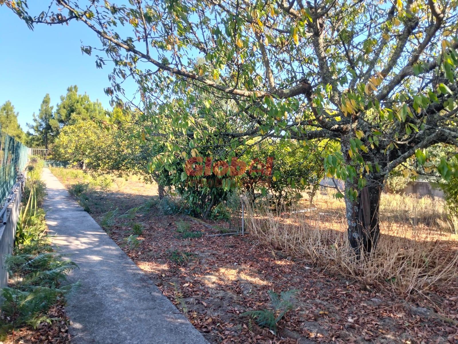 Moradia T3 Venda em Cavernães,Viseu