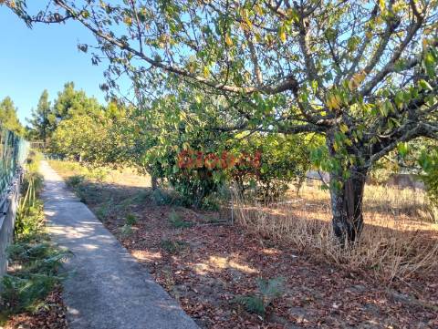 Moradia T3 Venda em Cavernães,Viseu