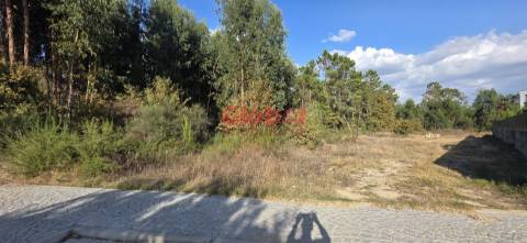 Terreno Para Construção  Venda em Cavernães,Viseu