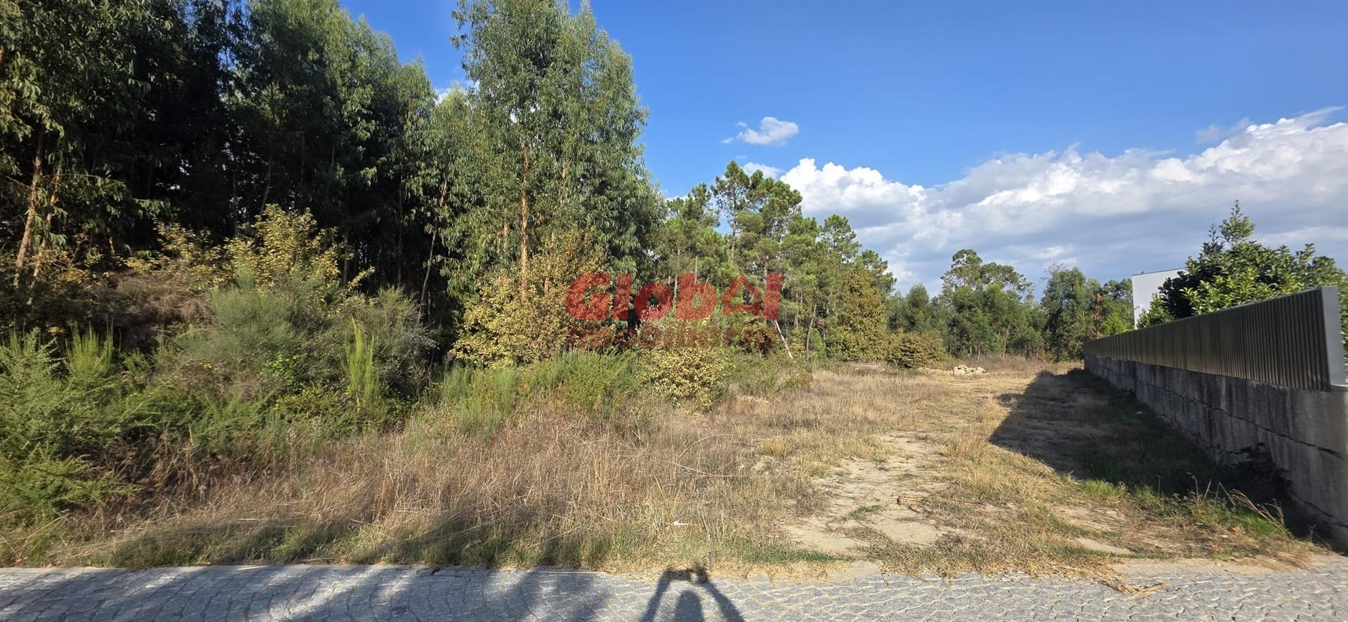 Terreno Para Construção  Venda em Cavernães,Viseu