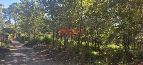 Terreno Rústico  Venda em Rio de Loba,Viseu
