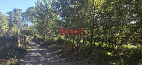 Terreno Rústico  Venda em Rio de Loba,Viseu