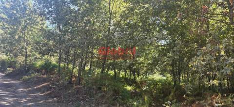 Terreno Rústico  Venda em Rio de Loba,Viseu