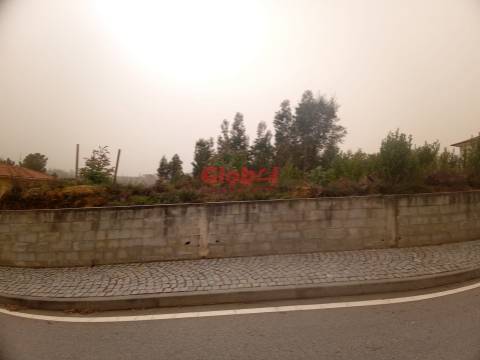 Terreno Rústico  Venda em Cavernães,Viseu
