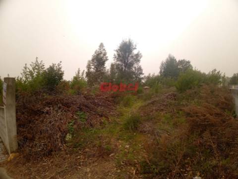 Terreno Rústico  Venda em Cavernães,Viseu