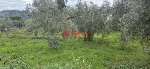 Terreno Para Construção  Venda em Boa Aldeia, Farminhão e Torredeita,Viseu