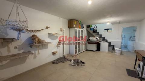 Moradia Isolada T3 Venda em Santos Evos,Viseu