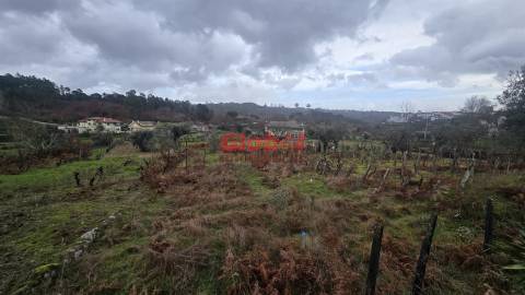 Terreno Rústico  Venda em Santos Evos,Viseu