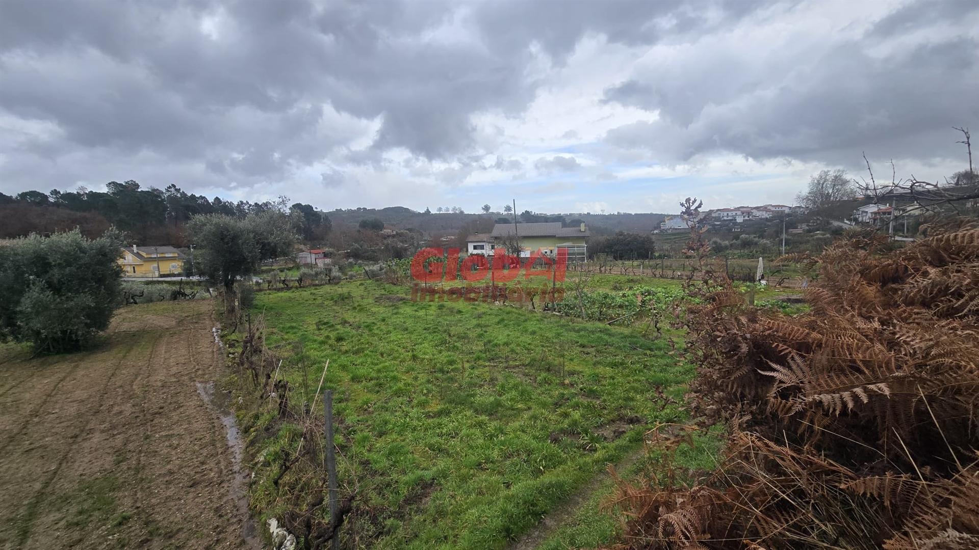 Terreno Rústico  Venda em Santos Evos,Viseu
