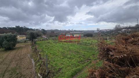 Terreno Rústico  Venda em Santos Evos,Viseu