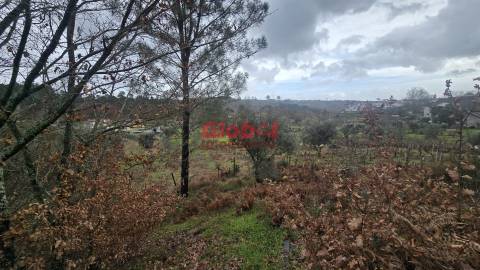 Terreno Rústico  Venda em Santos Evos,Viseu