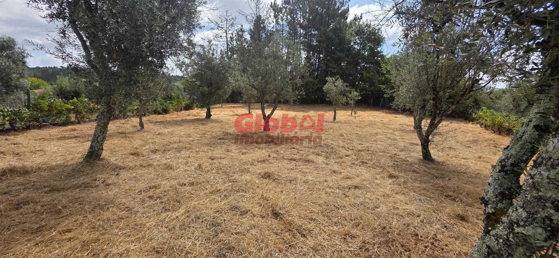Terreno Para Construção  Venda em Santos Evos,Viseu