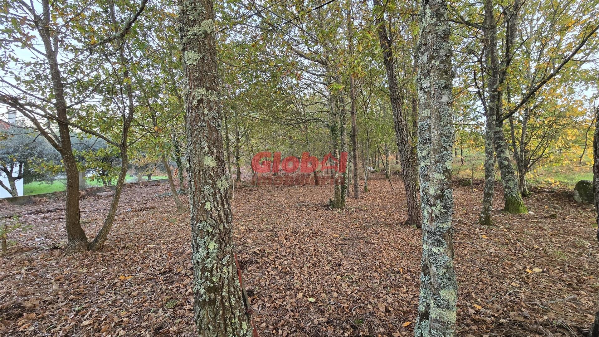 Terreno Para Construção  Venda em Barreiros e Cepões,Viseu