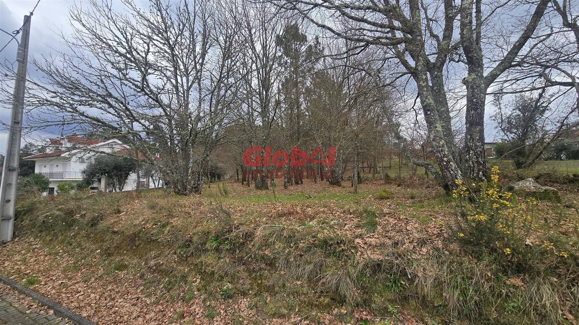 Terreno Para Construção  Venda em Barreiros e Cepões,Viseu