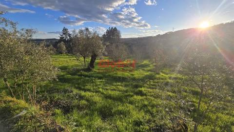 Terreno  Venda em Santos Evos,Viseu