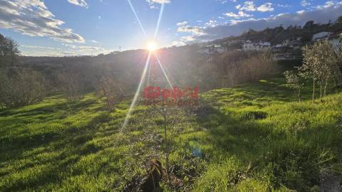 Terreno  Venda em Santos Evos,Viseu