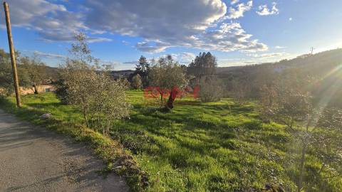 Terreno  Venda em Santos Evos,Viseu