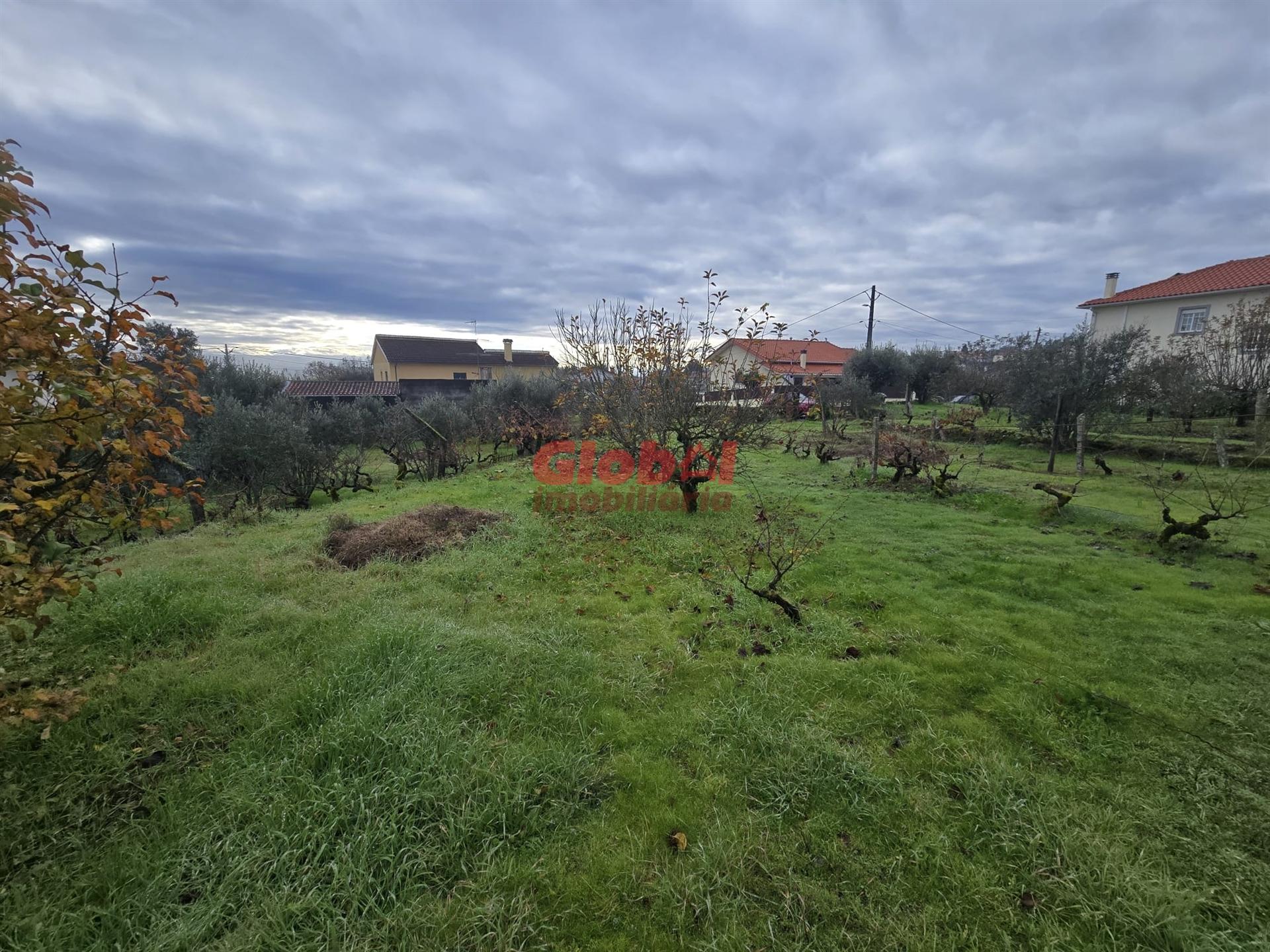 Terreno  Venda em Rio de Loba,Viseu