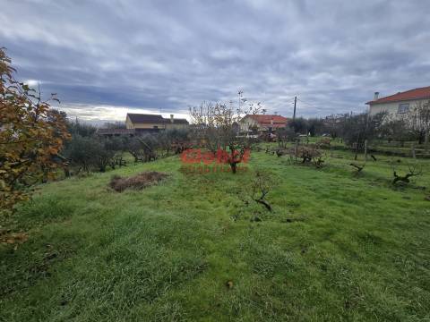 Terreno  Venda em Rio de Loba,Viseu