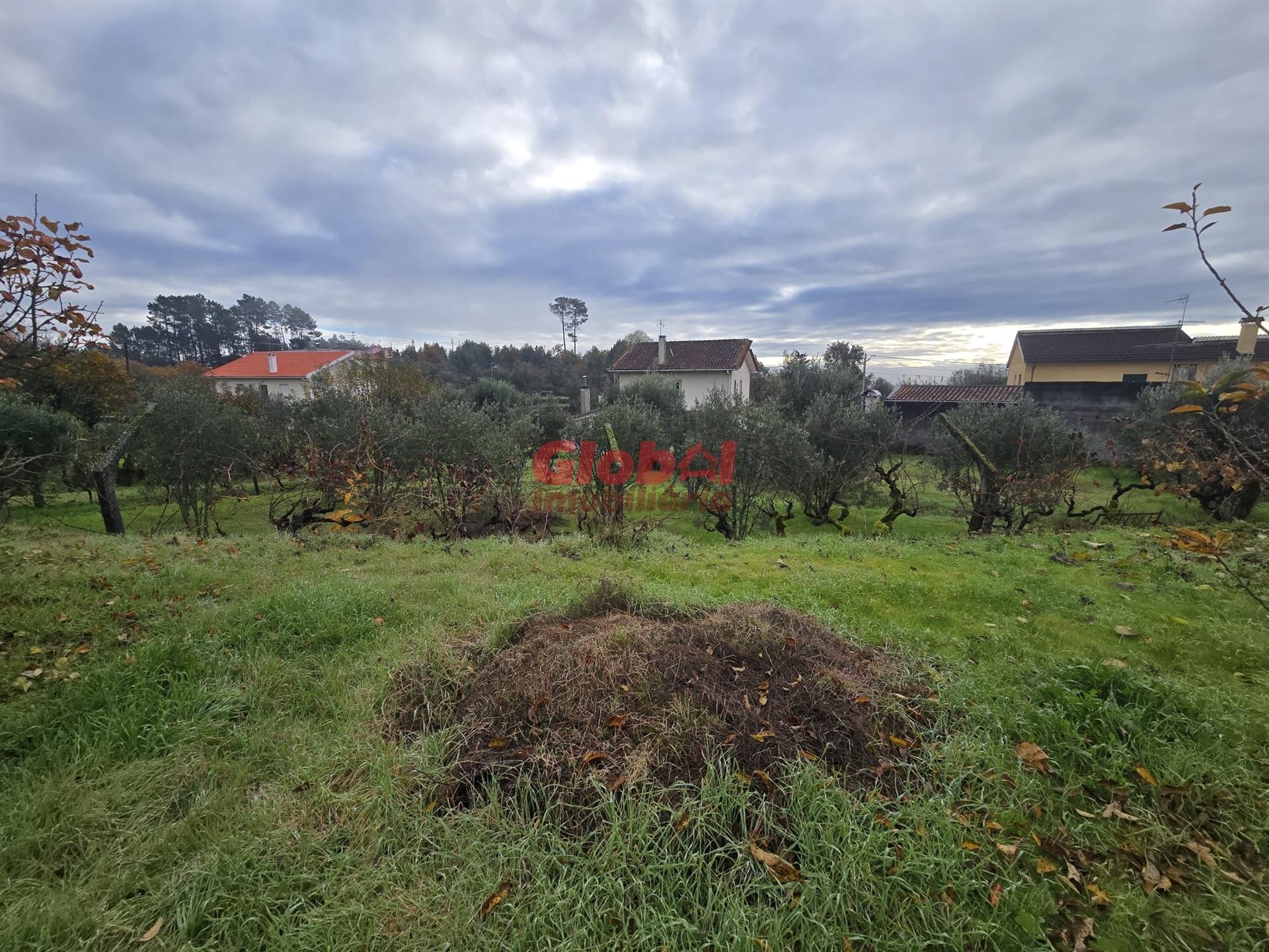Terreno  Venda em Rio de Loba,Viseu