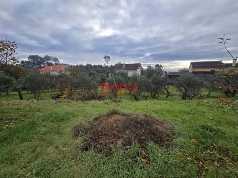Terreno  Venda em Rio de Loba,Viseu