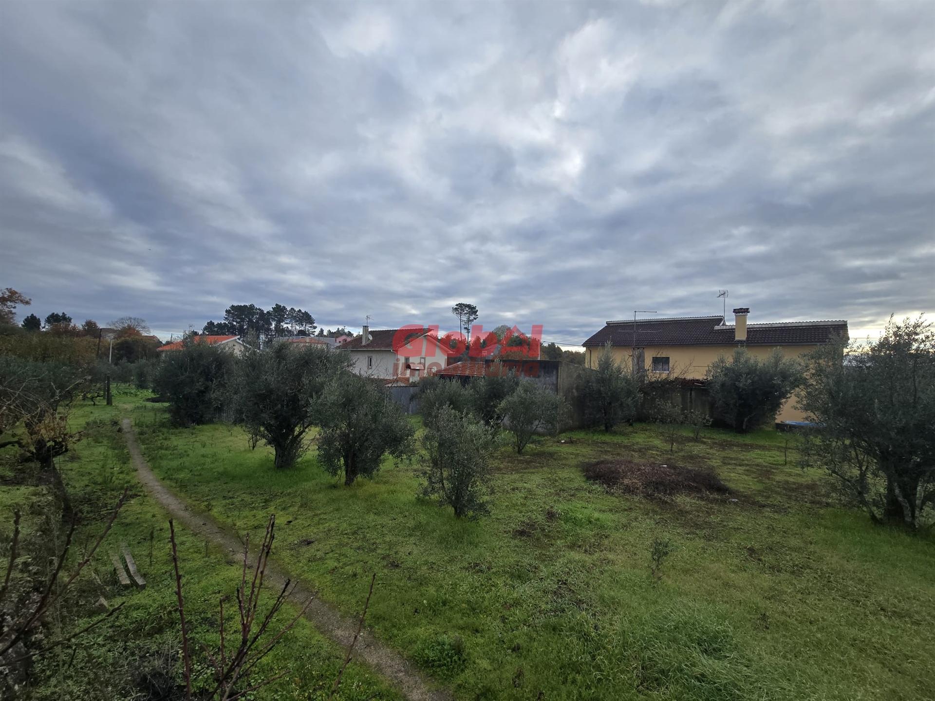 Terreno  Venda em Rio de Loba,Viseu