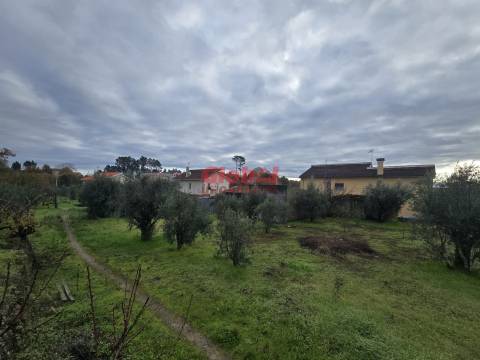 Terreno  Venda em Rio de Loba,Viseu