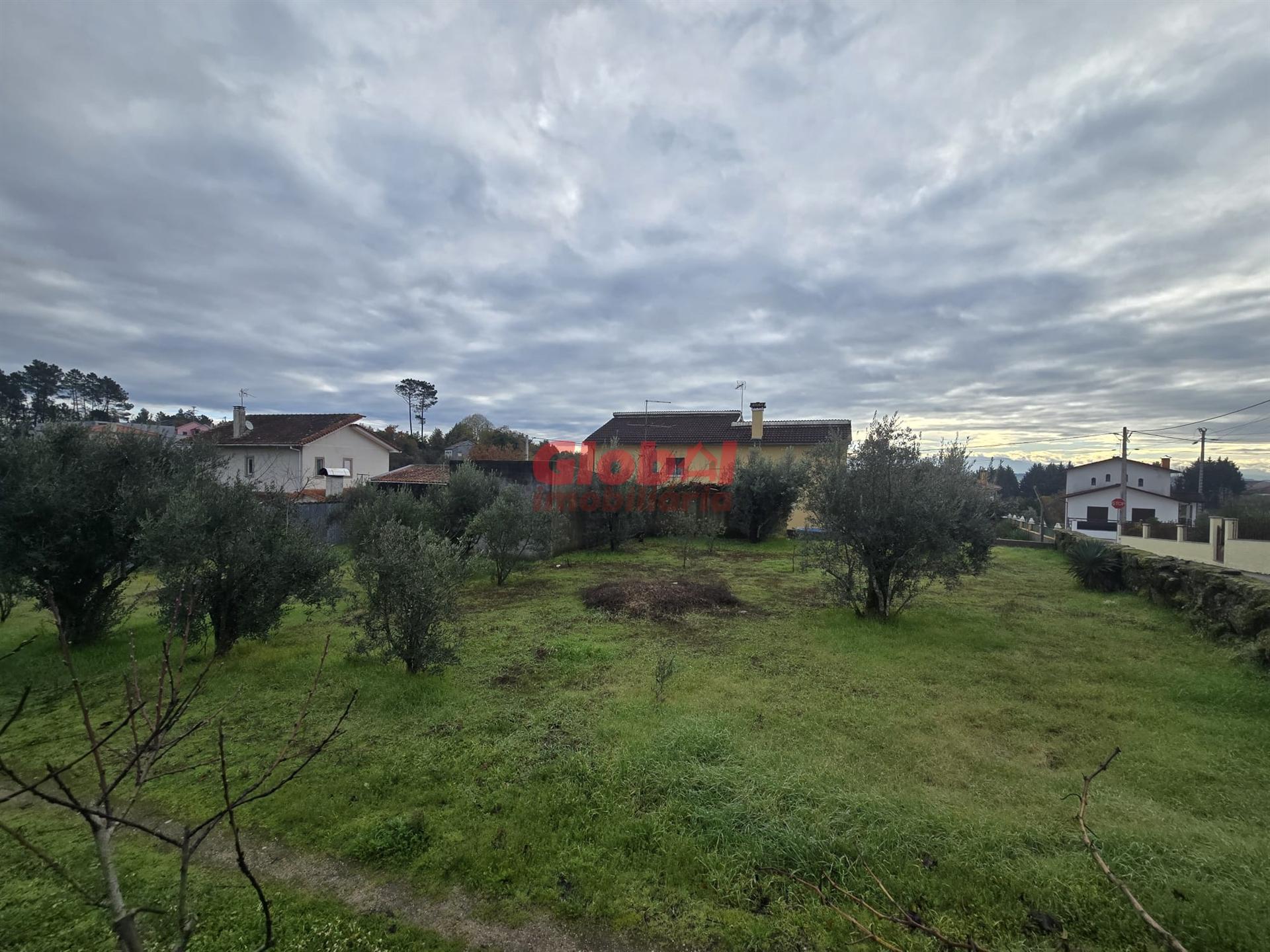 Terreno  Venda em Rio de Loba,Viseu