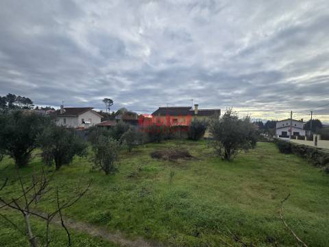 Terreno  Venda em Rio de Loba,Viseu