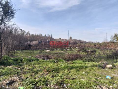 Terreno Para Construção  Venda em Mangualde, Mesquitela e Cunha Alta,Mangualde