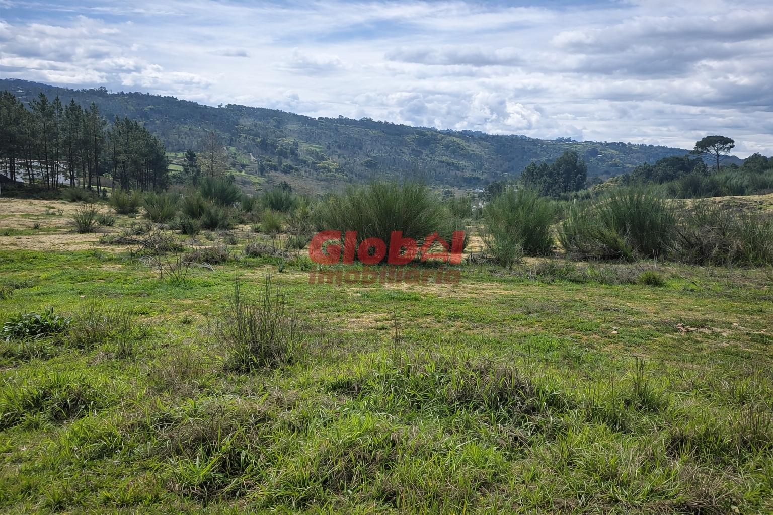 Terreno Para Construção  Venda em Fragosela,Viseu